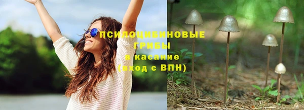 шишки Краснотурьинск
