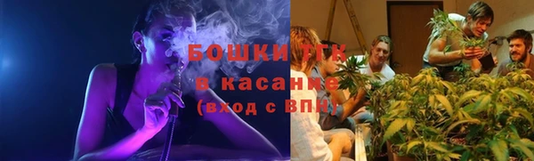 шишки Краснотурьинск
