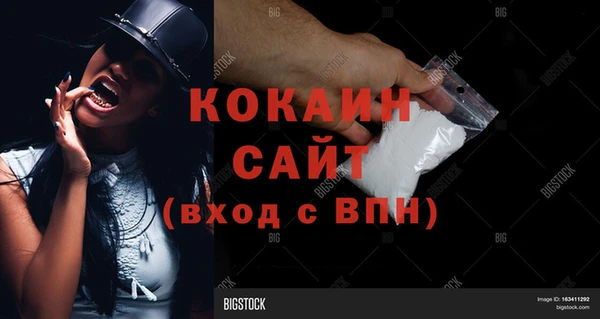 шишки Краснотурьинск