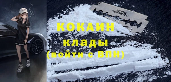шишки Краснотурьинск