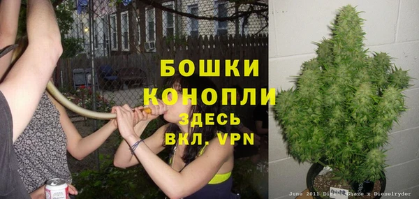 шишки Краснотурьинск