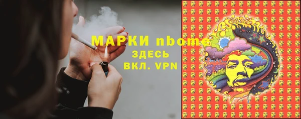 шишки Краснотурьинск
