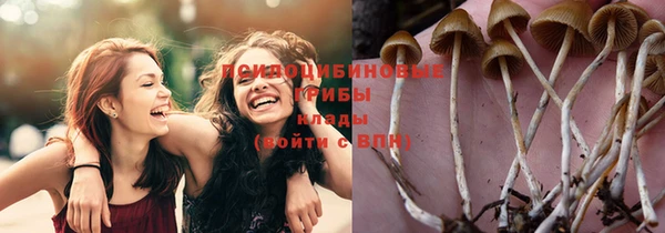 шишки Краснотурьинск